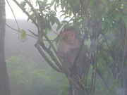 DSCN0335.jpg