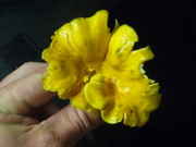Picture_023.jpg