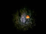 PICT0087.jpg