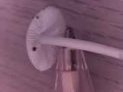 pic8.jpg
