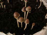 2009.10.14_5.jpg