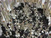 2012.03.06_8.jpg