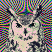 tumblr_mbl0tvsuqv1rbgz6lo1_500.gif