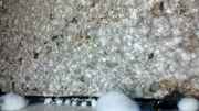 Resampled952012-12-199521-13-4895649.jpg