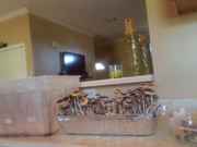 2013-04-25_10.40.54.jpg