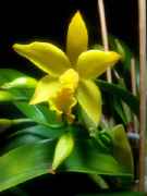 IMG_20141115_175036.jpg