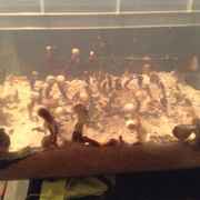 IMG_1135.jpg