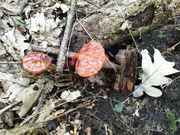 IMG-20190706-WA0001.jpg