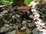 IMG-20190706-WA0016.jpg