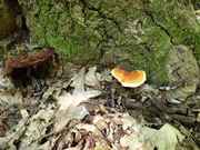 IMG-20190706-WA0014.jpg