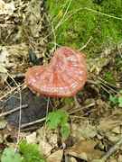 IMG-20190706-WA0004.jpg