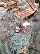 IMG-20190706-WA0007.jpg