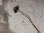 20210708_053818.jpg