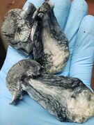 20220611_130011.jpg