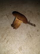 IMG_20220909_132350443.jpg