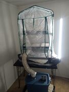 IMG_20251014_085019734.jpg