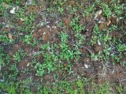 20260412_190957.jpg
