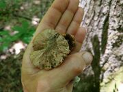 20260619_122847.jpg