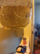 20260621_110939.jpg