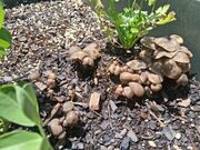 20260704_115953.jpg