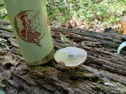 20260816_130509.jpg